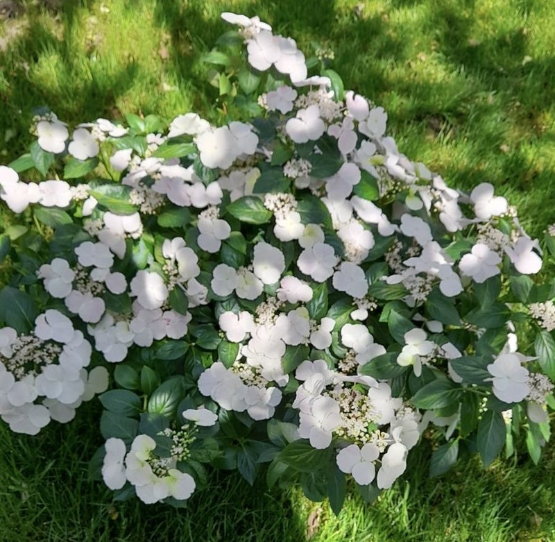 6B225D3A-6C06-4F4F-8B6D-C9211C602967