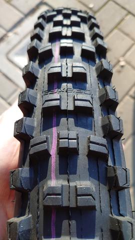 DSC-1605.jpg