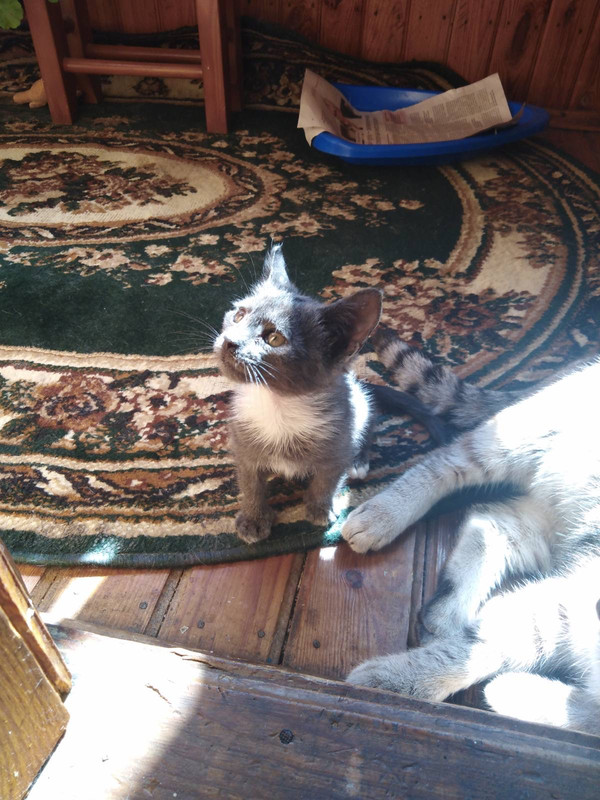 EF6BC639-F687-4ED0-9E84-73EAE8DE8984