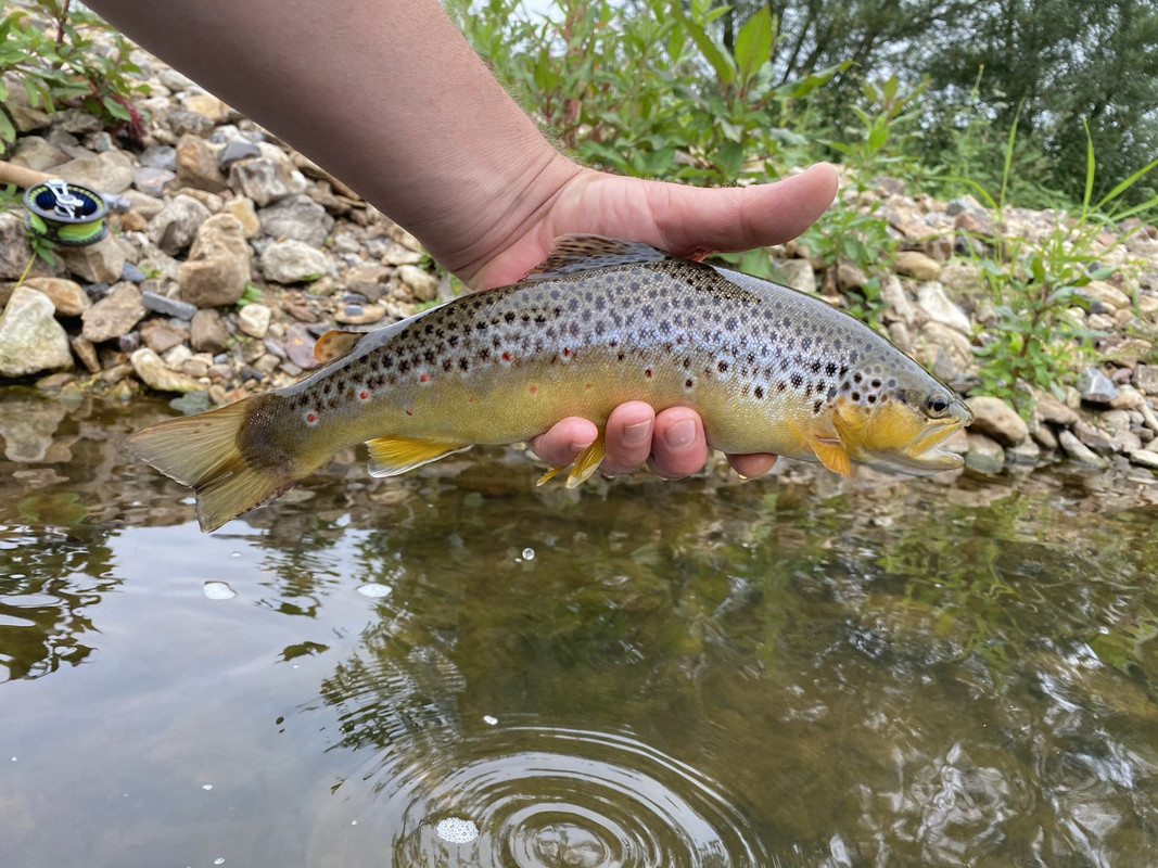 08AF7C99-D735-40E8-BF0B-582EE0EDF4D4