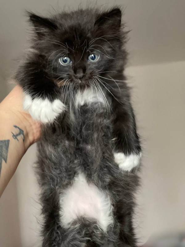 A9353A8C-FBE9-4B1D-B73C-4E92E7B1AF2D