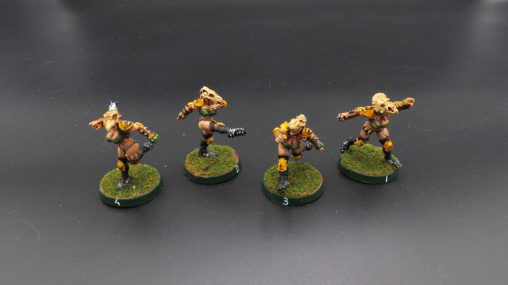 [Commande] Bloodbowl Benoch équipe d'amazones CURVE-IMG-2302