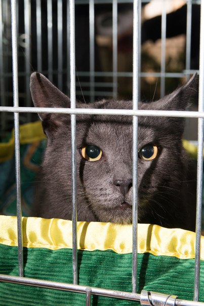 5B94C60F-5F18-40FD-AE59-331AC5F3CC1A