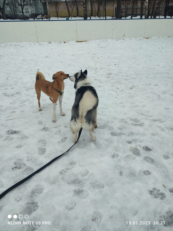 8126602C-94D6-46D6-8577-F42CF0734BCD