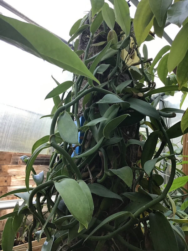 C2118FCC-F06A-4A2A-8114-11B7B5734796