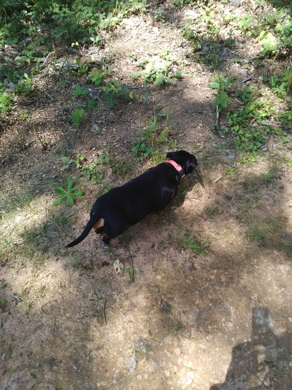 [Image: IMG-20230528-144233.jpg]