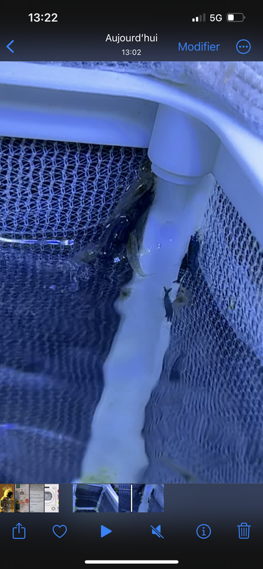 B62C316E-C62B-45EC-BF69-29B7E229A963