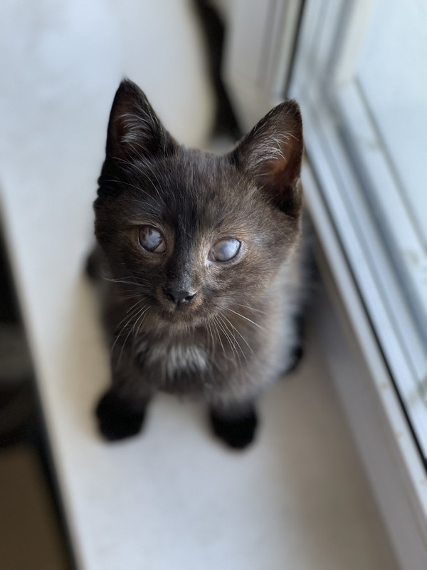 7DD93250-6781-4EBD-A6D3-0A1098168A9F