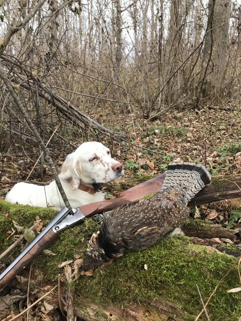 FDCDDBAC-FF7A-445A-AA3A-402AB08B9E09