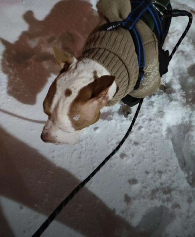 683B30CC-1465-45DB-B53C-078AFC69F0F1