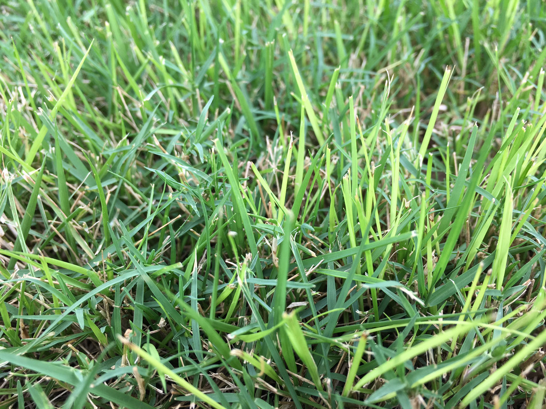 52E4D943-F338-4DFE-A8B9-C5E94EB4D551