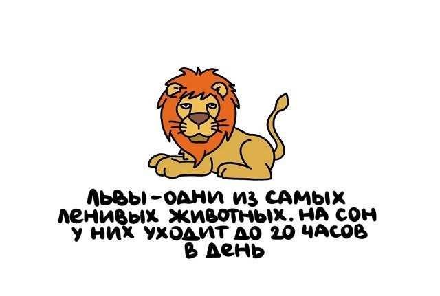 dosuga-net-interesnye-fakty-v-kartinkah-