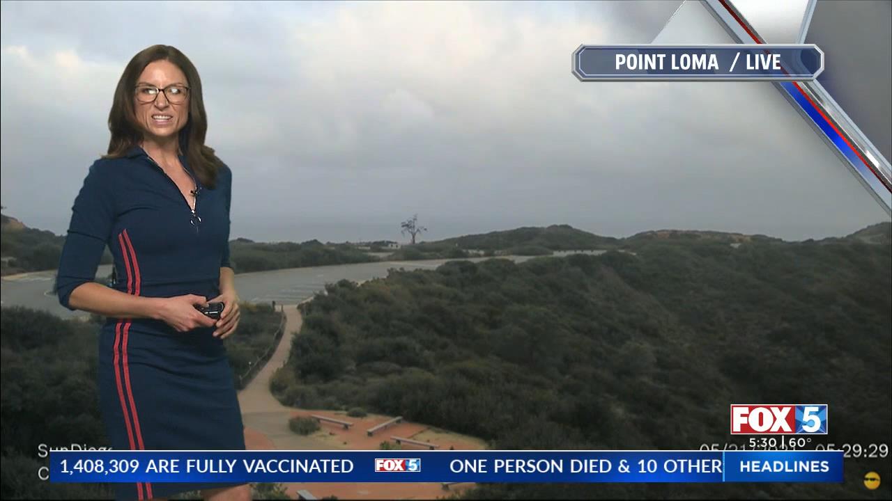 05.21 - 13.00.00 - FOX 5 Morning News at 5 00am  ᴺᵉʷ. Local news, wea....ts_snapshot_31.43_[2021.05.