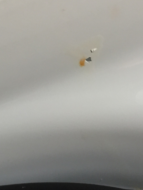 2FE900AE-3214-4655-A2FB-181F185D8AA4