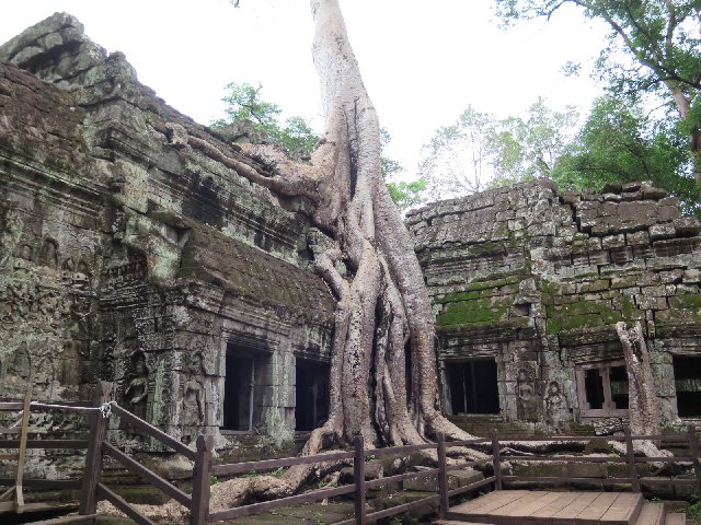 Día 5 - Templos de Angkor desde el amanecer - TAILANDIA Y CAMBOYA POR MENOS DE 1000€, VIAJE MARCA DE LA CASA (10)