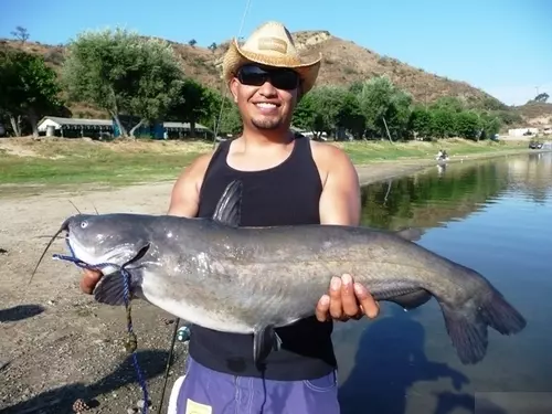 Trout Fishing