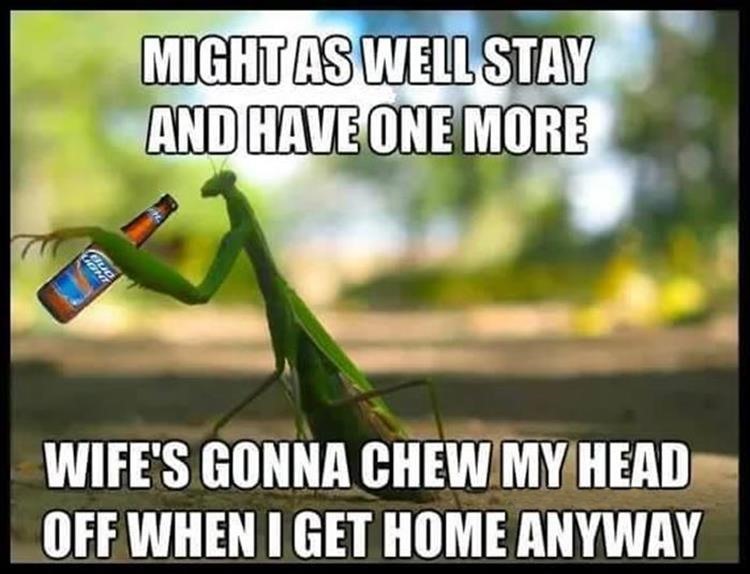 wife-s-gonna-chew-my-head-off.jpg
