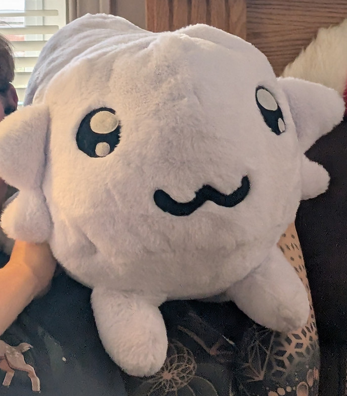 PXL 20251225 165128614