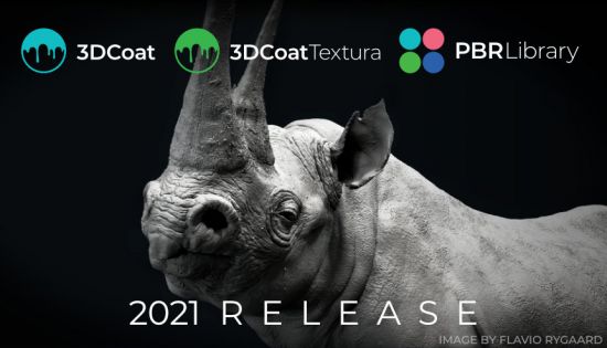 3DCoat v2021.62 (x64) Multilingual