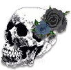 Skull with black and blue roses
