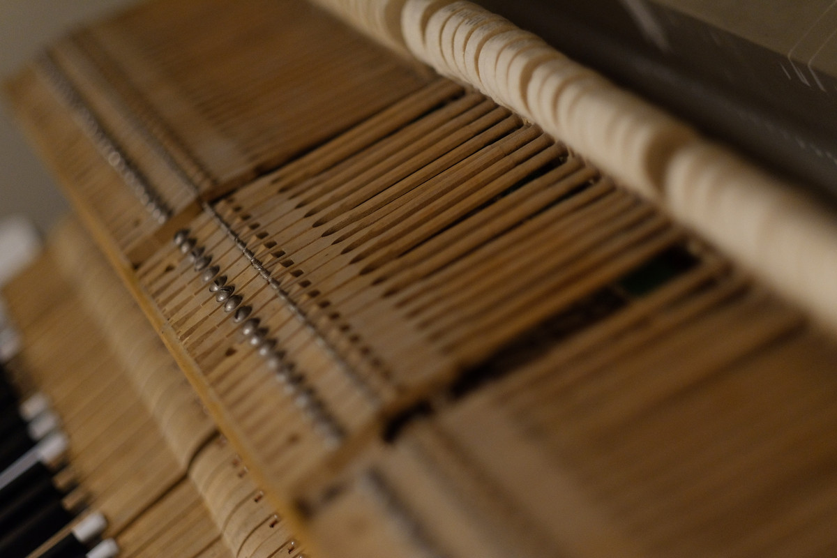 A3018600-ABE5-46CB-9D8D-49635FAA0114