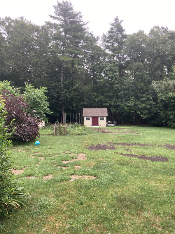 EB7A7A66-6A4B-45AE-A987-035F130D9278