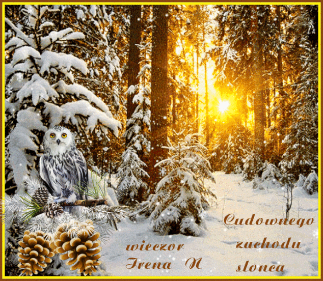 0ce7dd782689b9b57ffd18232d26ca44