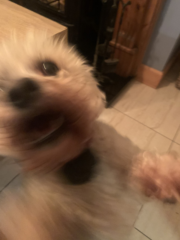 07E980B3-FEC2-4B00-B8FD-9AC31381167A