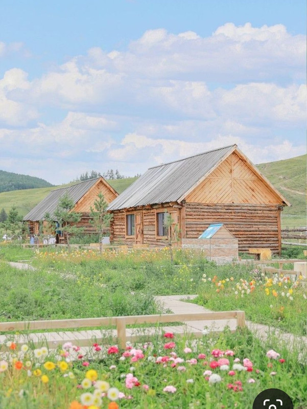 Screenshot_20240330_233514_Pinterest