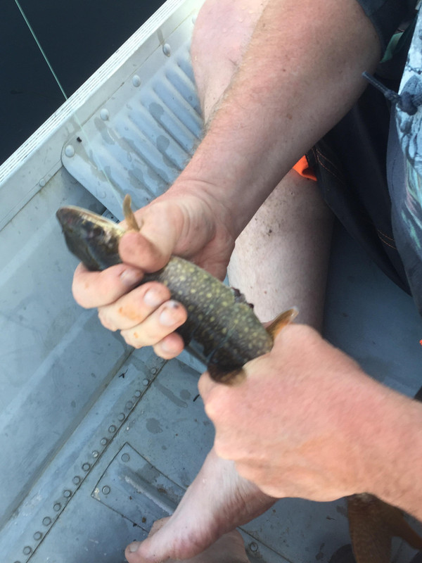 66781236_473369989890851_8721272961039859712_n