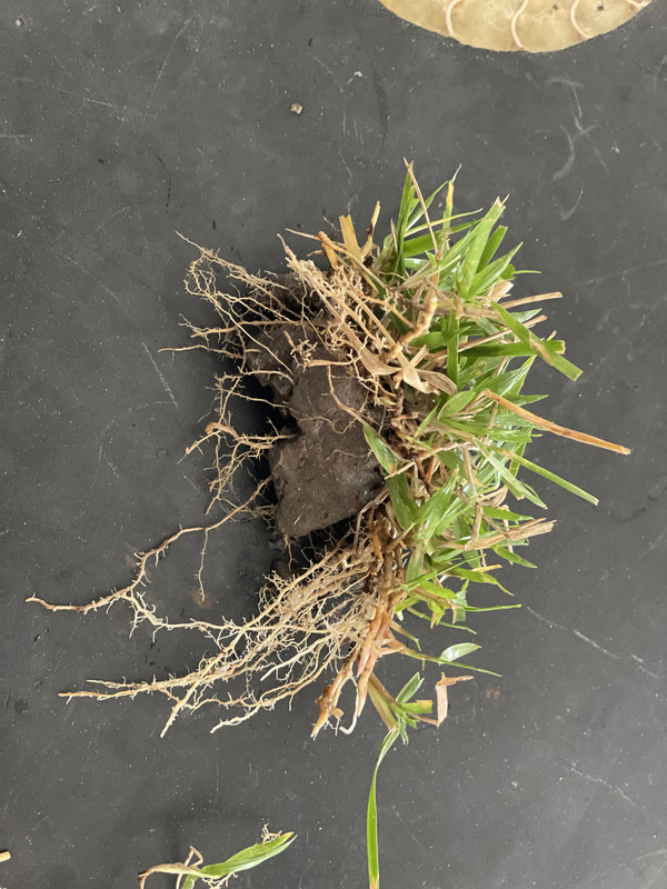 F86C6674-2545-4A89-AFA9-ABF629742F50