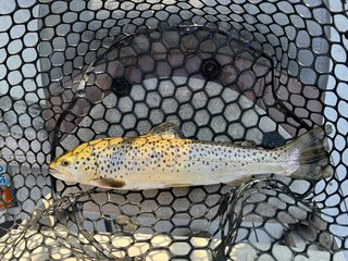 C0CDE291-1857-448B-8BAA-E7059FE70A58