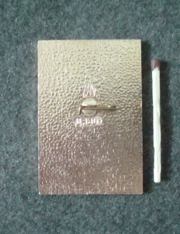 хоккей СКДА_1