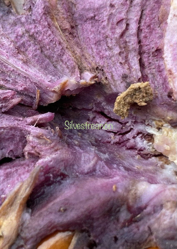 A67B5328-069C-4564-876D-0EF8069FBC8E