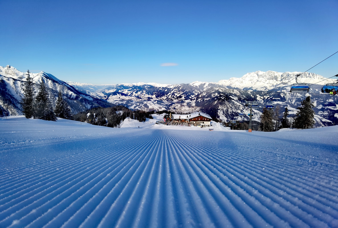 IMG_20220228_084657_edit_124373739963312