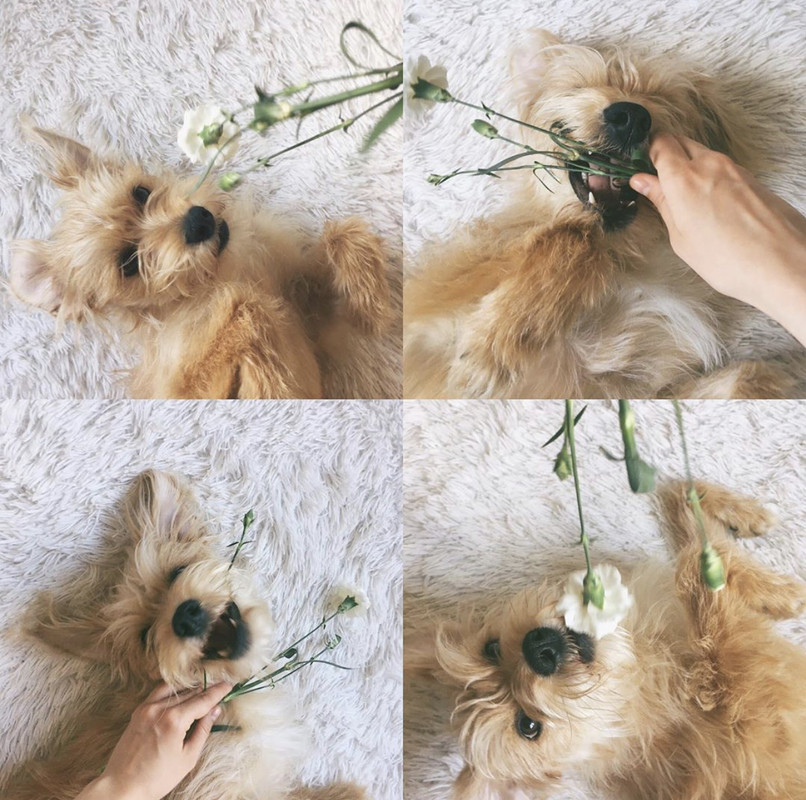 D4657039-0A40-4E75-8595-981664611881