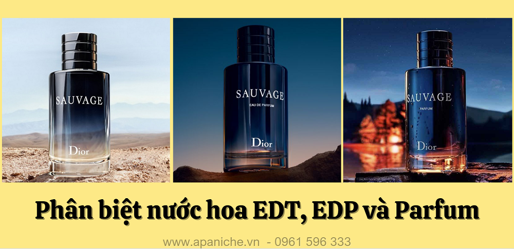 T1-BVCN-01-Phan-biet-nuoc-hoa-edt-edp-va-parfum-09052024.png