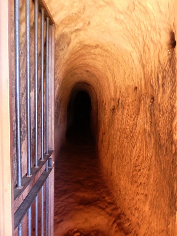YACIMIENTO ARQUEOLOGICO DE TIERMES-16-2-2020 - Soria y sus pueblos-2010/2013/2020 (87)