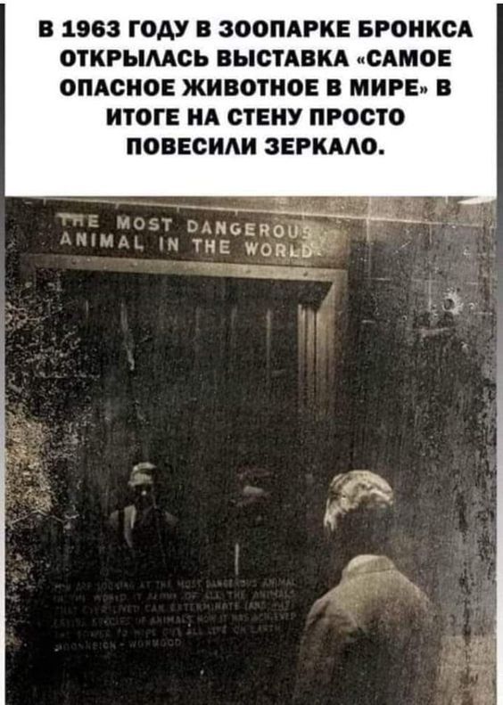 [Изображение: a2bf2ae35942a22e4cda42cb29288c10.jpg]