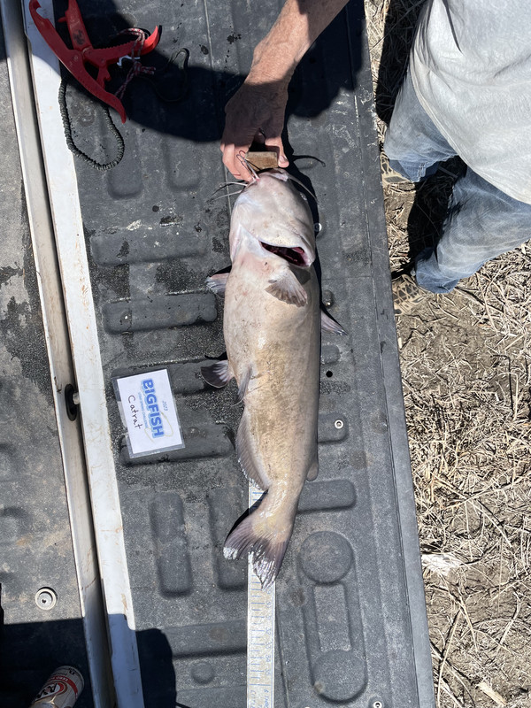 DB8353B4-C9D2-476C-AA5F-0488C83F5DB2