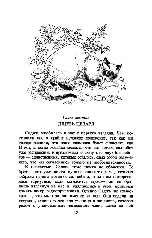 p0019