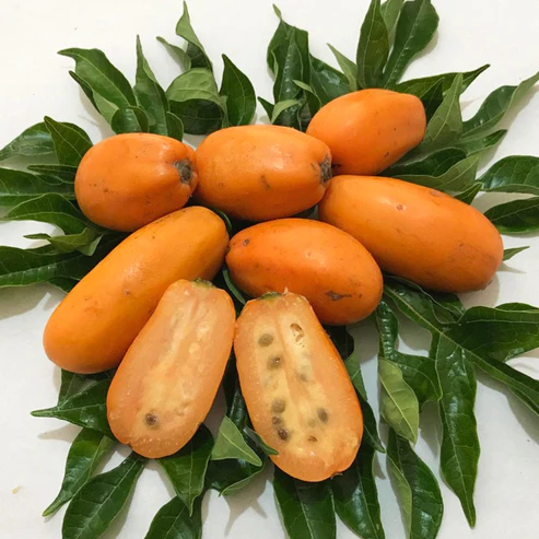 Seeds: latest species on stock and new ones for pre-order:wampee, yacarati, etc