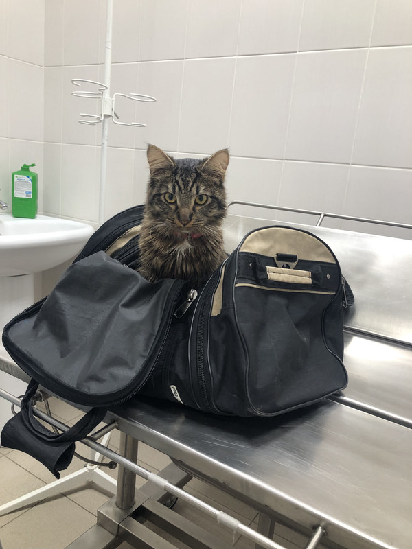 59141C84-2EF1-4650-A77C-13DEC6896AA9