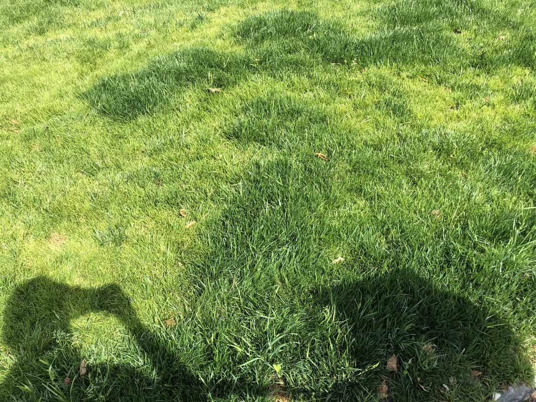 A3ED5156-F9AD-4438-8B90-847FCD5E45EF