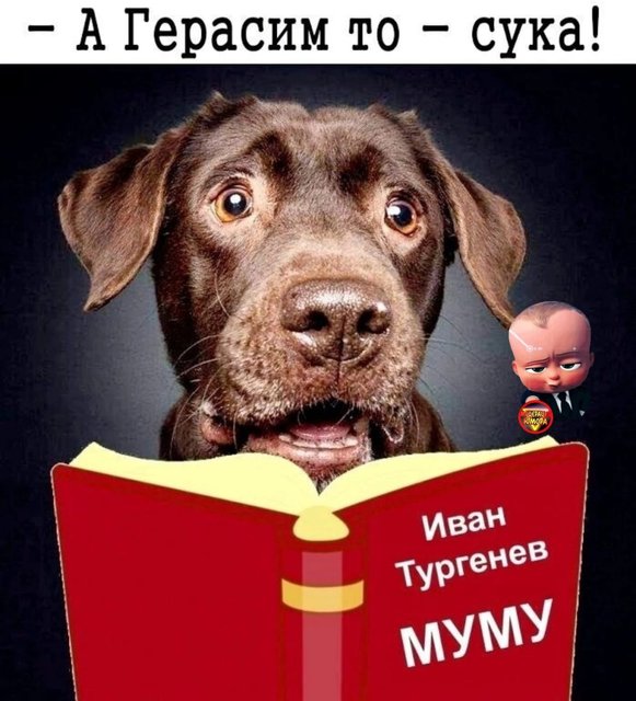 https://i.postimg.cc/BvgrRQqh/IMG-20240527-WA0010.jpg