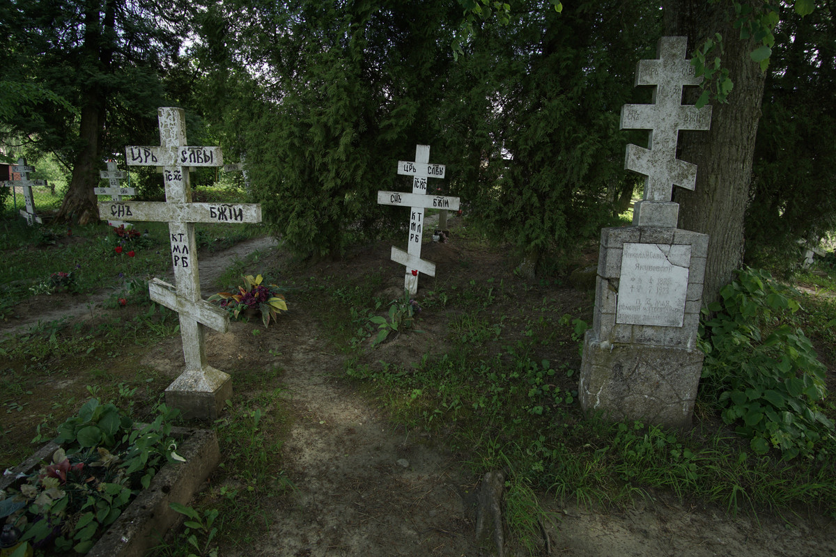 08 - DSC00549 (zbychowiec)