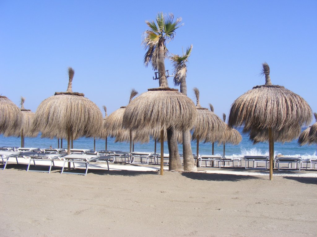 DSCF6489.jpg