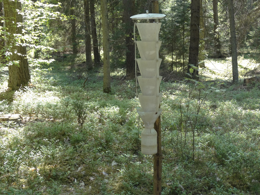 27 - DSC03882 (Czesio1)