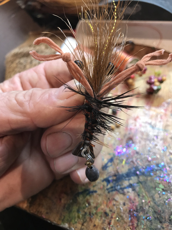 49FFAFA1-E984-4685-B677-37F37F292BD7