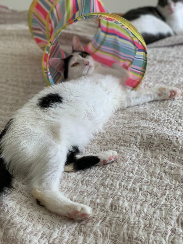 90F49080-A2C4-41B4-A087-84E381D8E520